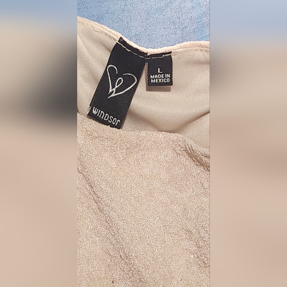 Windsor Sleveless Sparkle Cream Fit And Flare Dress image 5